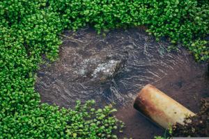 Segnalare l'utilizzazione agronomica degli effluenti di allevamento in agricoltura (letami, liquami e fertirrigazione)